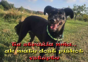 Hliníková tabuľka pozorpes.sk
