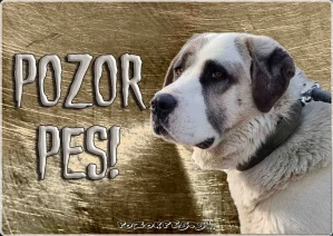 Hliníková tabuľka pozorpes.sk